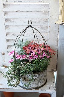 ヘキサゴンポットのナチュラルな寄せ植え❁⃘*.゜大きめ ヘキサゴンポットのナチュラルな寄せ植え❁⃘*.゜大きめ