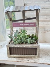 画像2: アミュザンプランターLに多肉植物の寄せ植え (2)