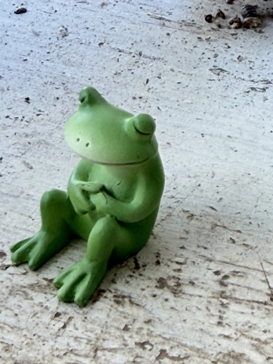 画像2: コポーうとうと (2)