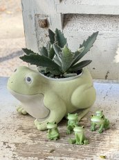 画像5: コポー開脚座り (5)