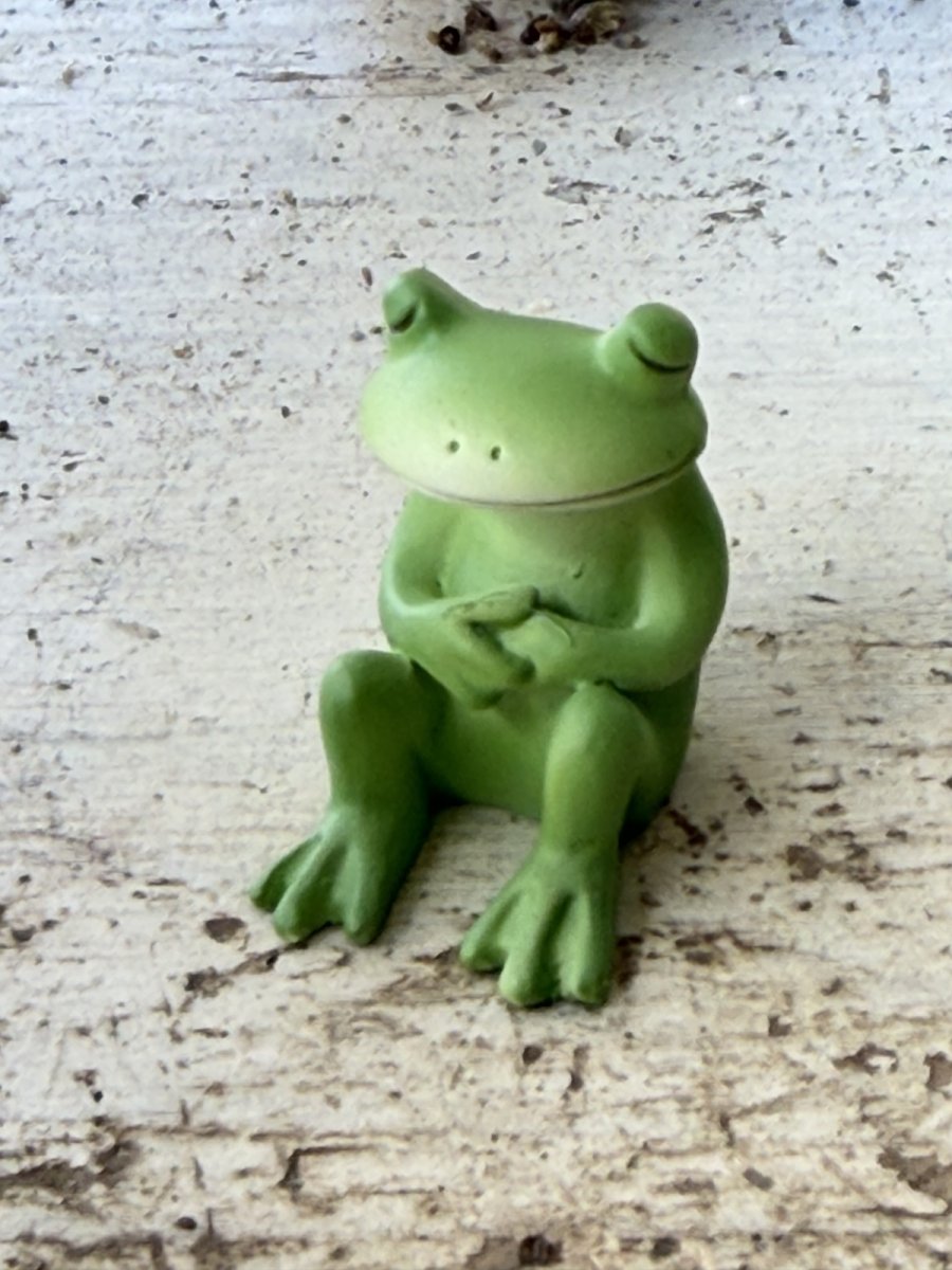 画像1: コポーうとうと (1)