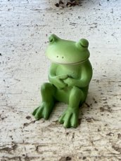 画像1: コポーうとうと (1)