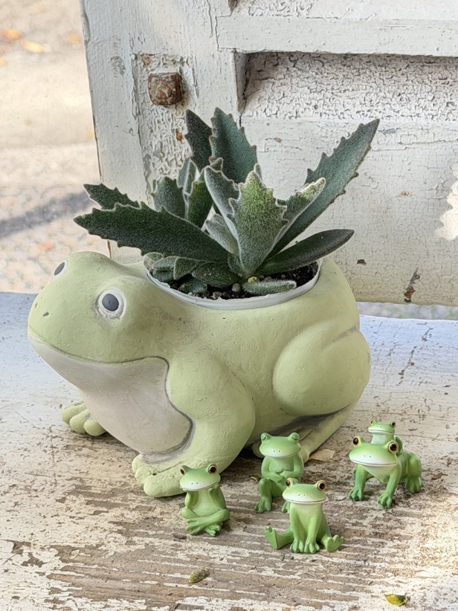 画像5: コポーうとうと (5)