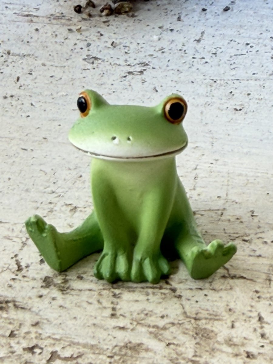 画像1: コポー開脚座り (1)