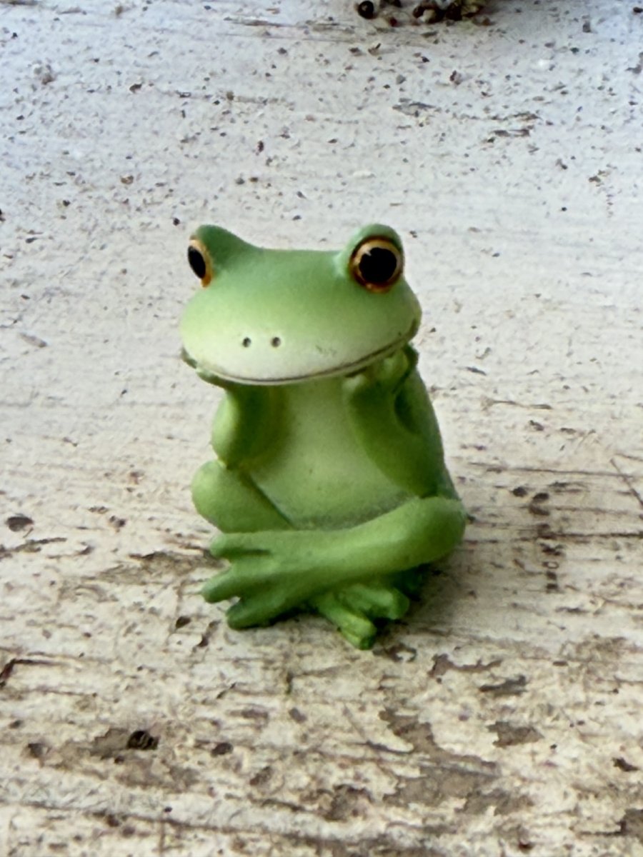 画像1: コポーあぐら (1)