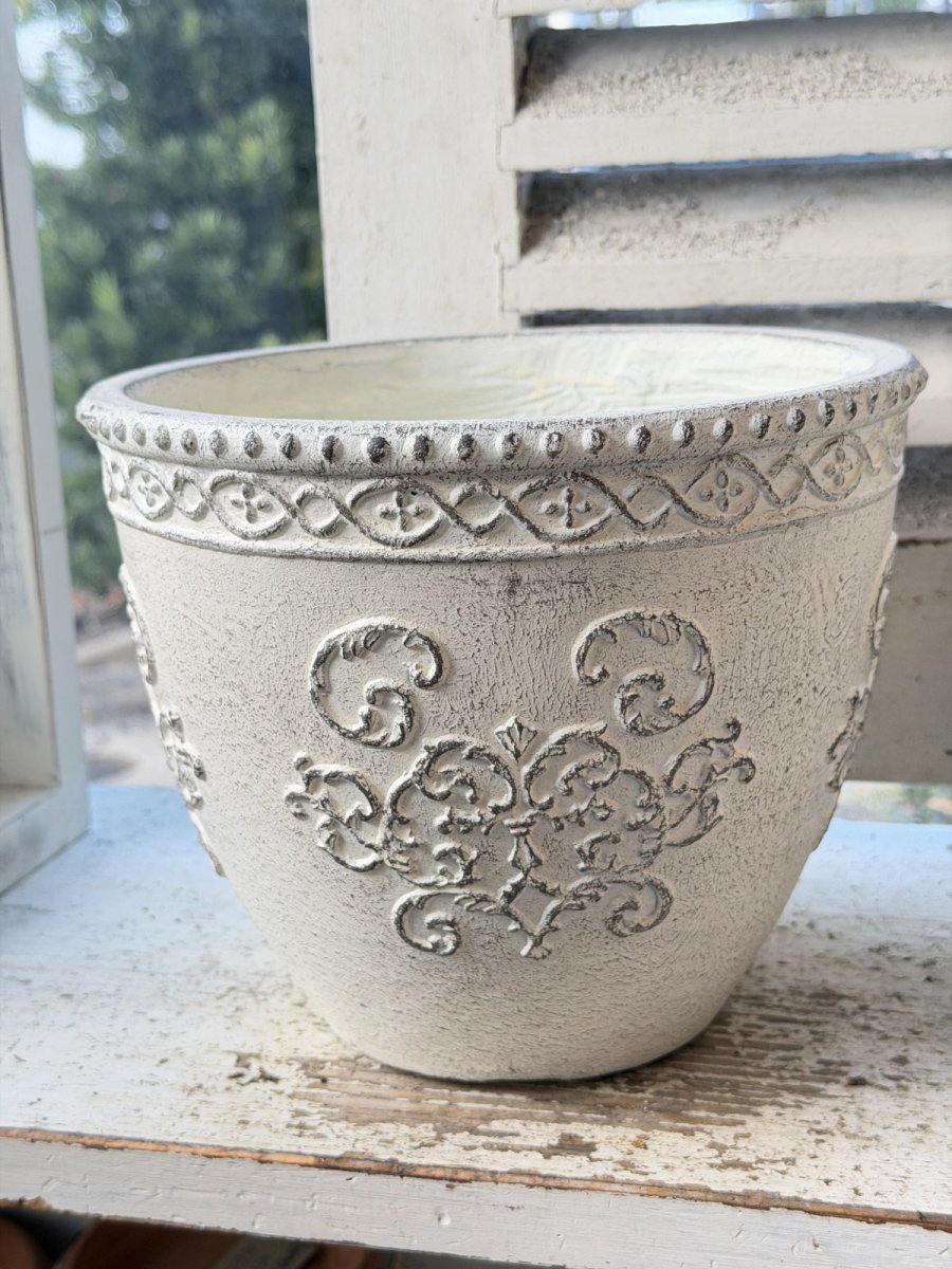 画像4: セルマンサークルSの寄せ植え (4)